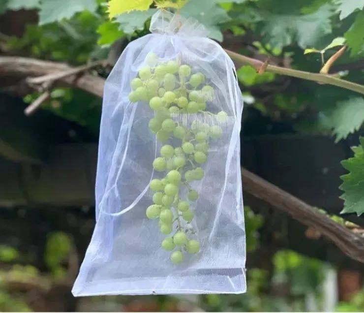 100x Sacos para proteger fruta / uvas