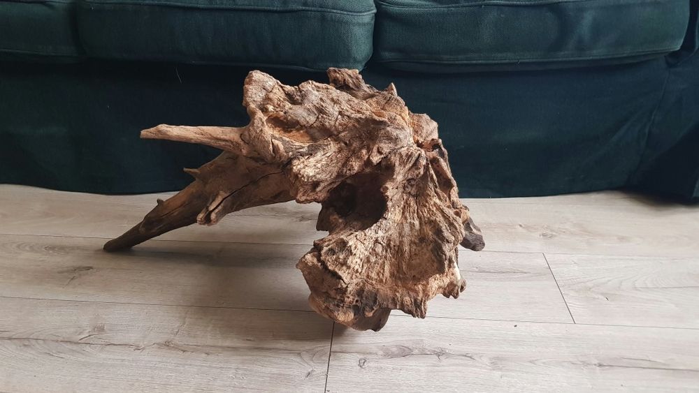 Korzeń do akwarium/terrarium.