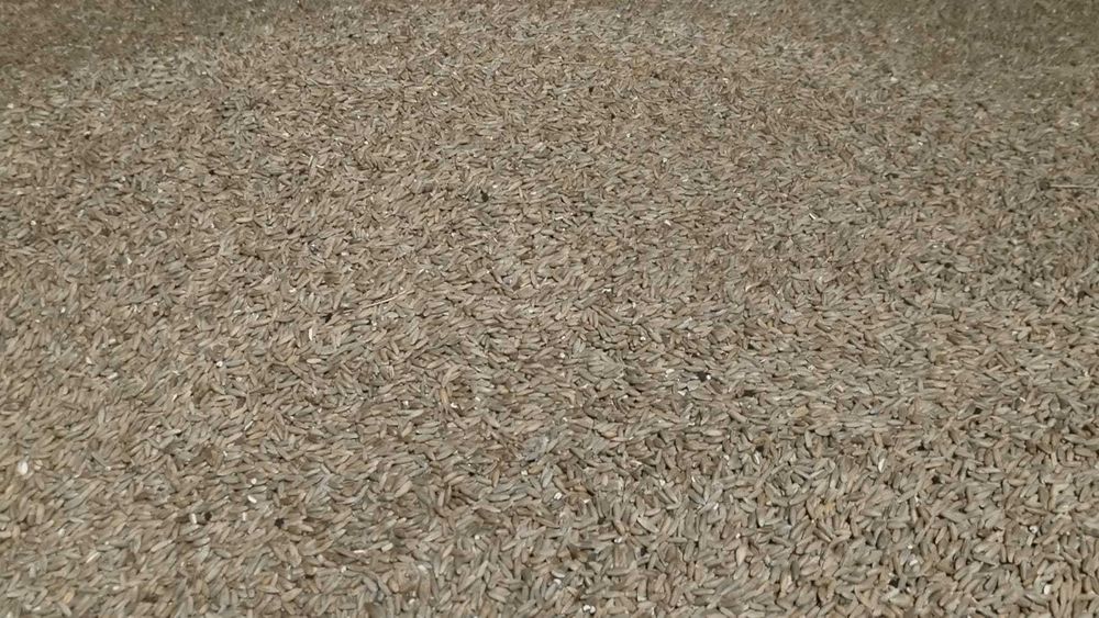 Żyto i słoma w kostkach