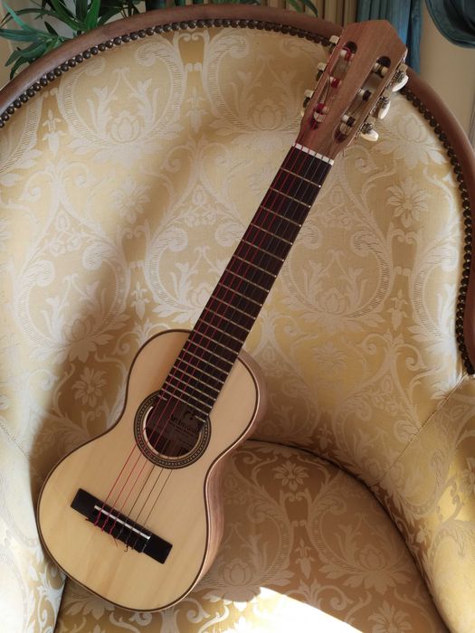 Travel Guitar / Guitalele
