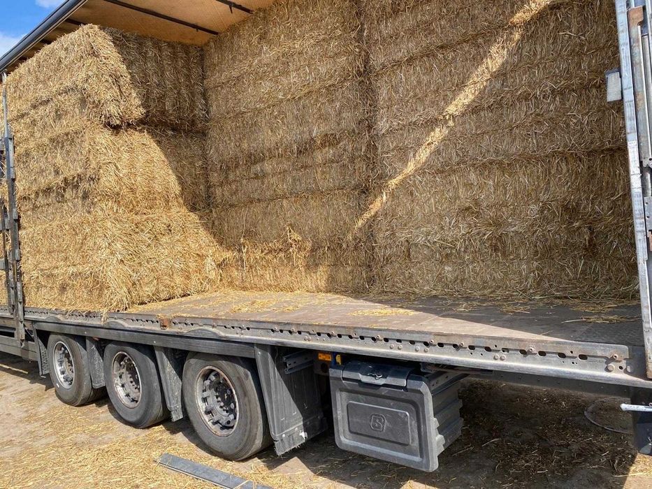 SIANO , SŁOMA    -suche, magazynowane, TRANSPORT W CENIE