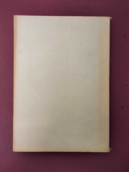 O Sol da Noite - Sá Flores