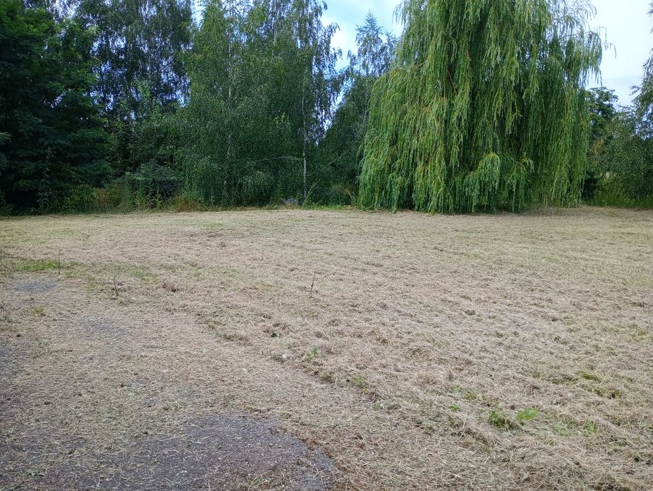 Nieruchomosc plus duza dzialka - View 4
