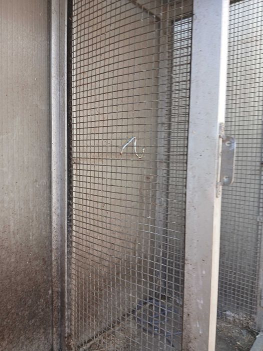 Viveiro de pássaros com 4 divisões