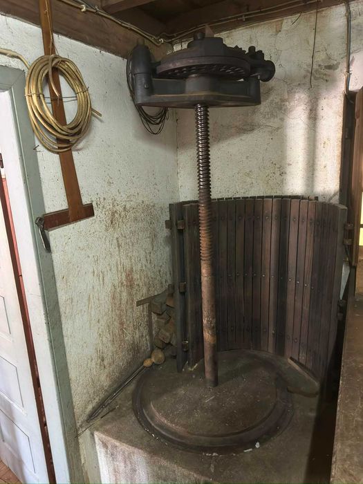 Prensa Vinho (Vendo á Melhor oferta)