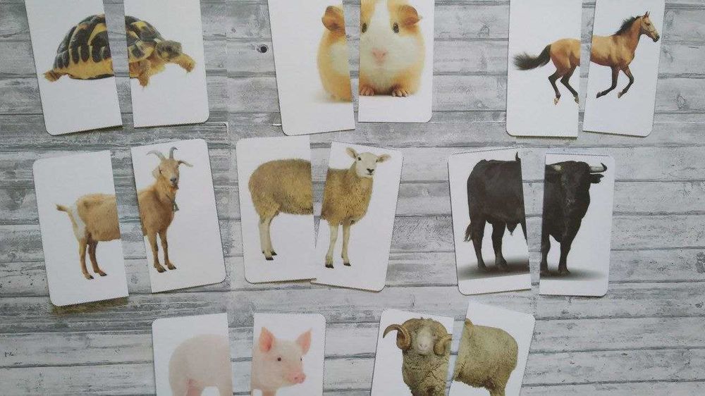 Картки-частинки половинки Знайди пару монтессорі домана