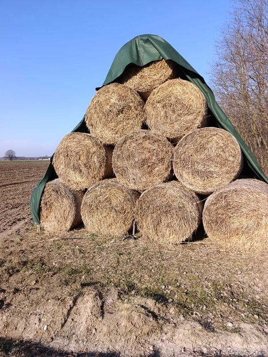 Sprzedam słome w balotach 120