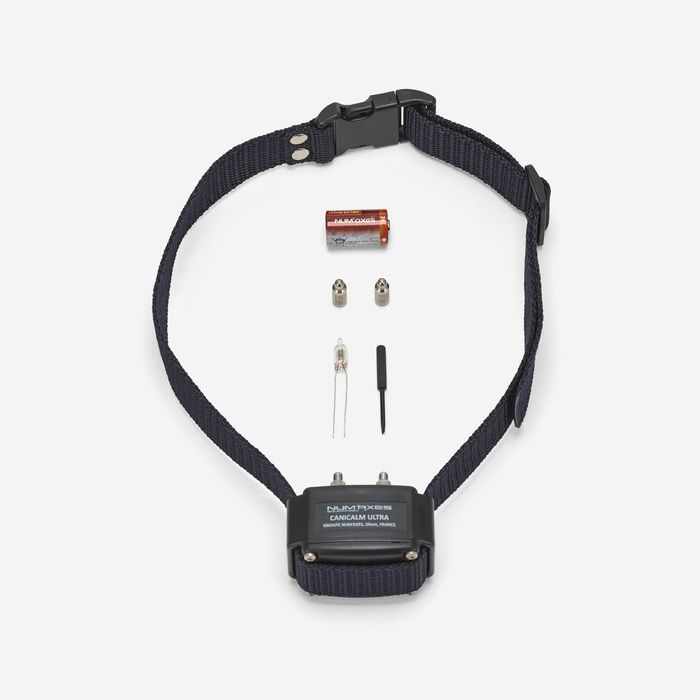 Coleira Antilatidos para Cão Canicalm Premium