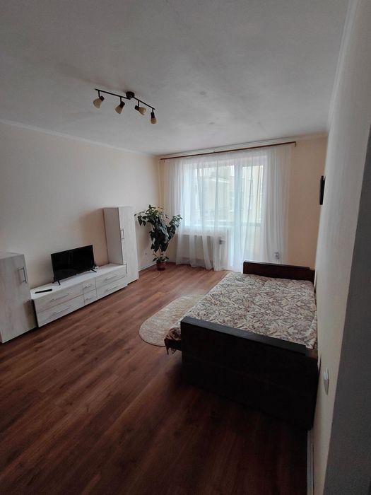 Центр! Вільна на Новий Рік!