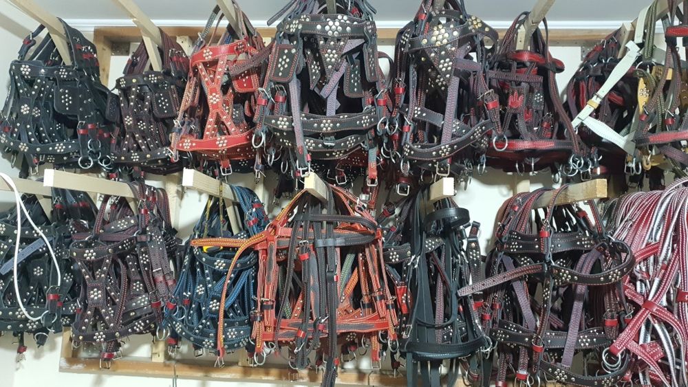 Упряж шлея, наритник, уздечка, недоуздок, ліци.