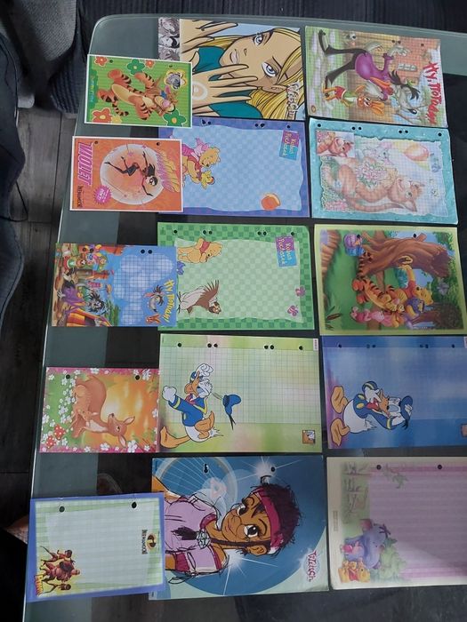 Karteczki do segregatora