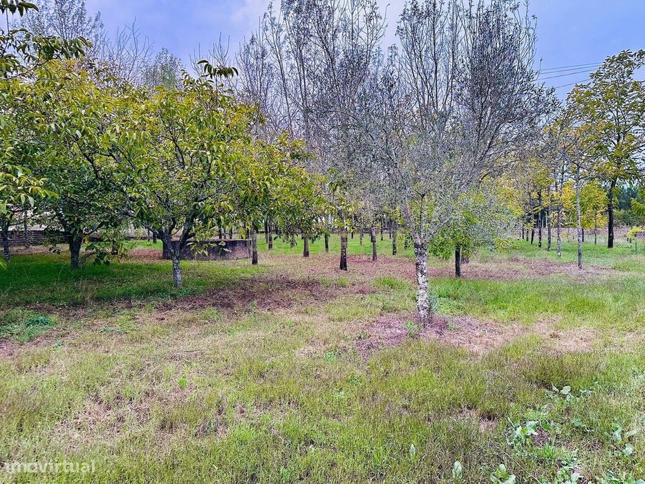 Dois artigos: Urbano com 498 m2 e terreno rústico com 1000 m2 em Vilar