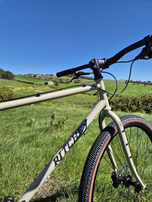 Ritchey Ascent L