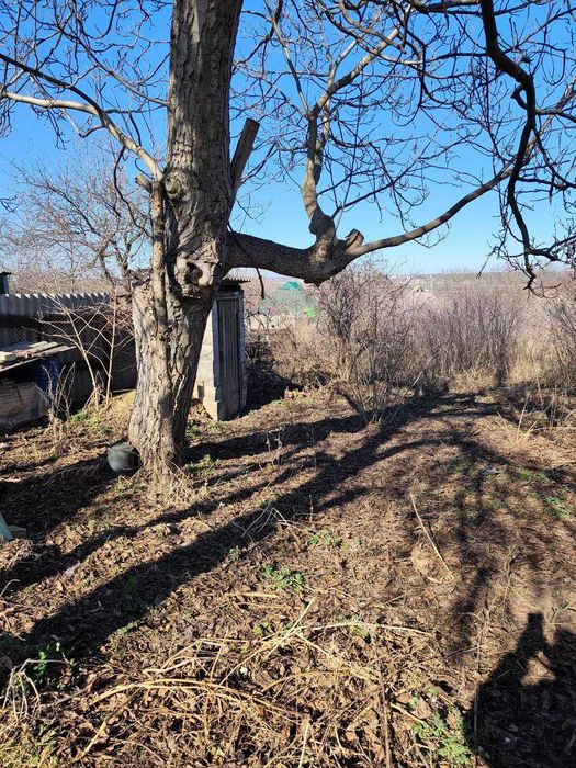Продам приватизовану ділянку 12 соток