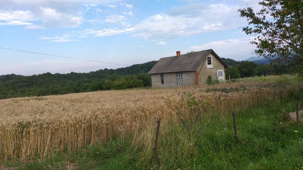 Ділянка 35 соток,можна під забудову