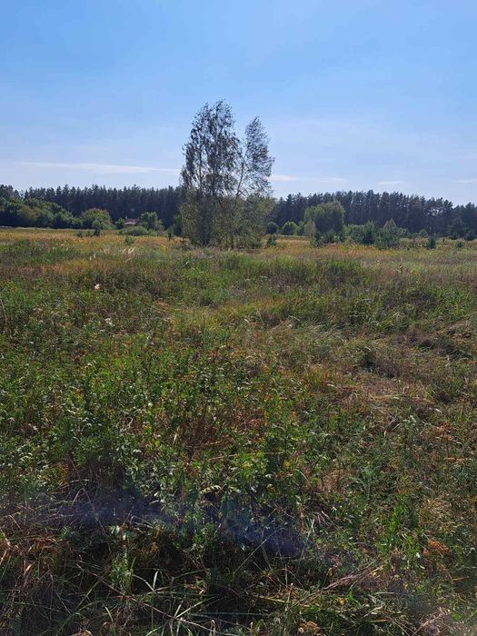 Продається земельна ділянка в мальовничому місці