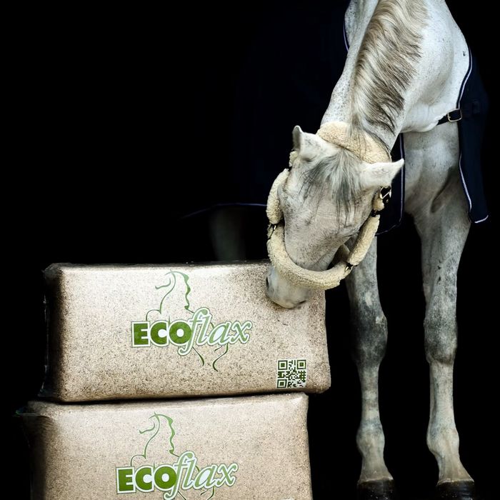 Ściółka lniana ECOFLAX 20 kg | Dla koni | Dostawa GRATIS