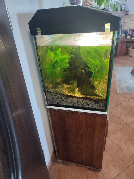 Akwarium 240 l z szafką