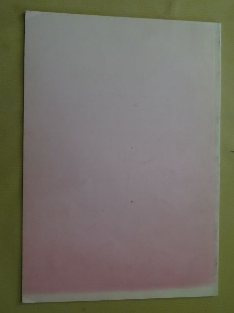 O Menino de Vidro de Luísa de Andrade Leite