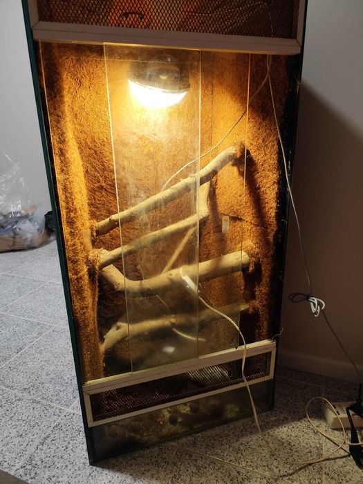 Terrário com cabo de aquecimento e lâmpada