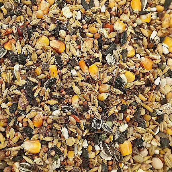 20kg Uniwersalna karma dla ptaków ziarno pokarm zimowy karmnik Champi
