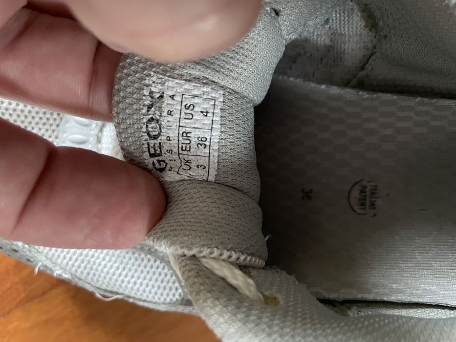 Buty sportowe Geox rozm 36