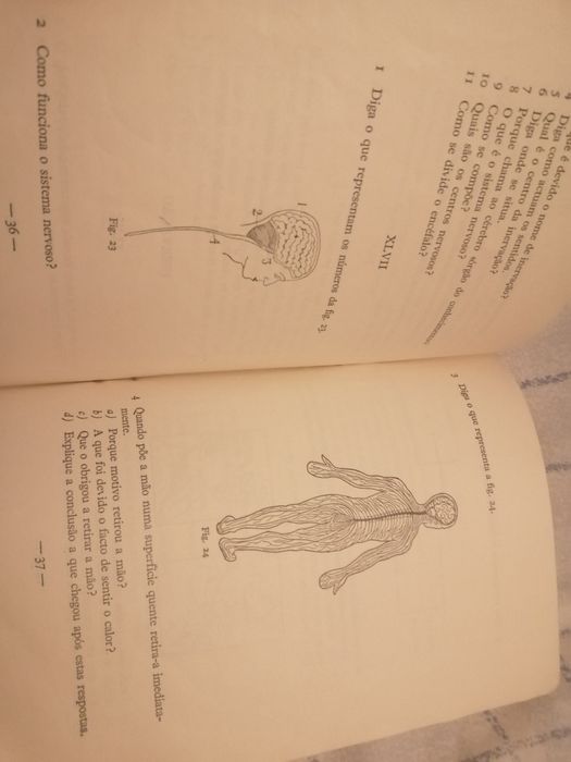 Questionário Ciências antigo (2° ano) 
Geográfico-Naturais
de Maria Al