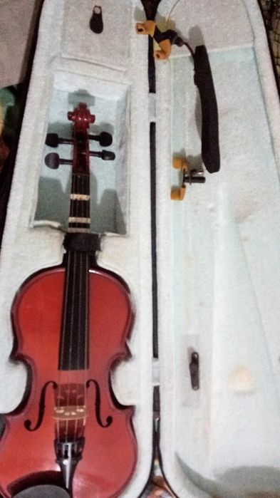 Dois violinos de aprendizagem