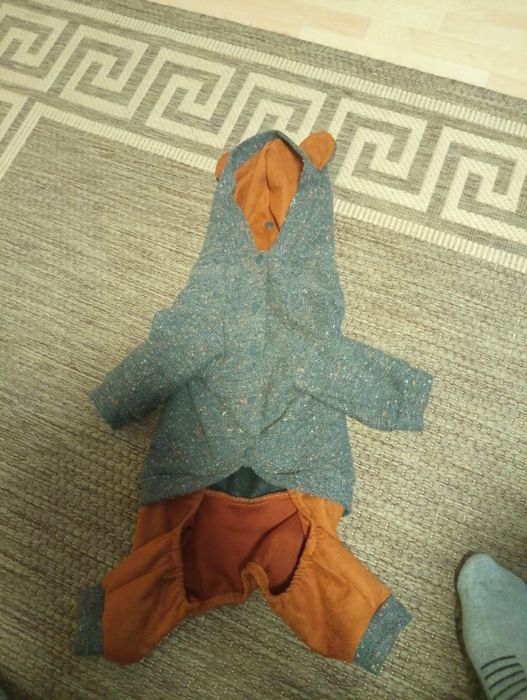 Костюм на собаку