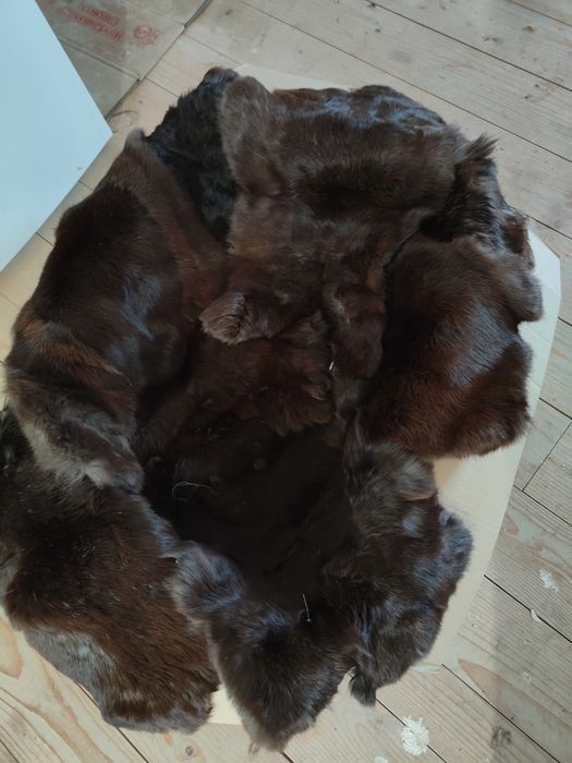 Шкурки кролячі вичинені, нефарбовані