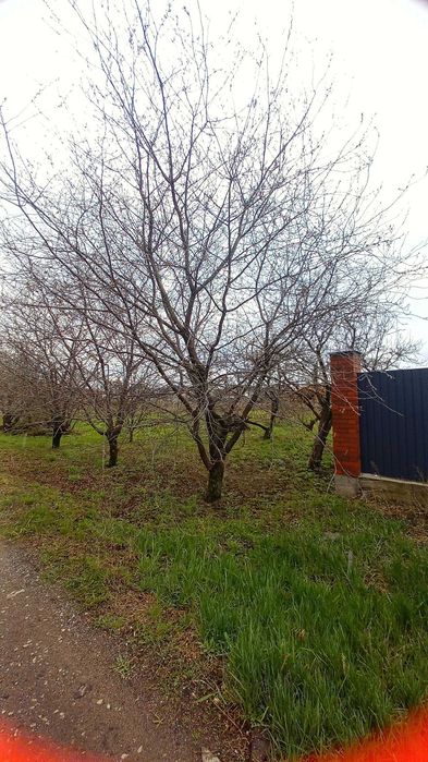 ділянка під забудову черкаси - Продаж землі в Україні - Купити