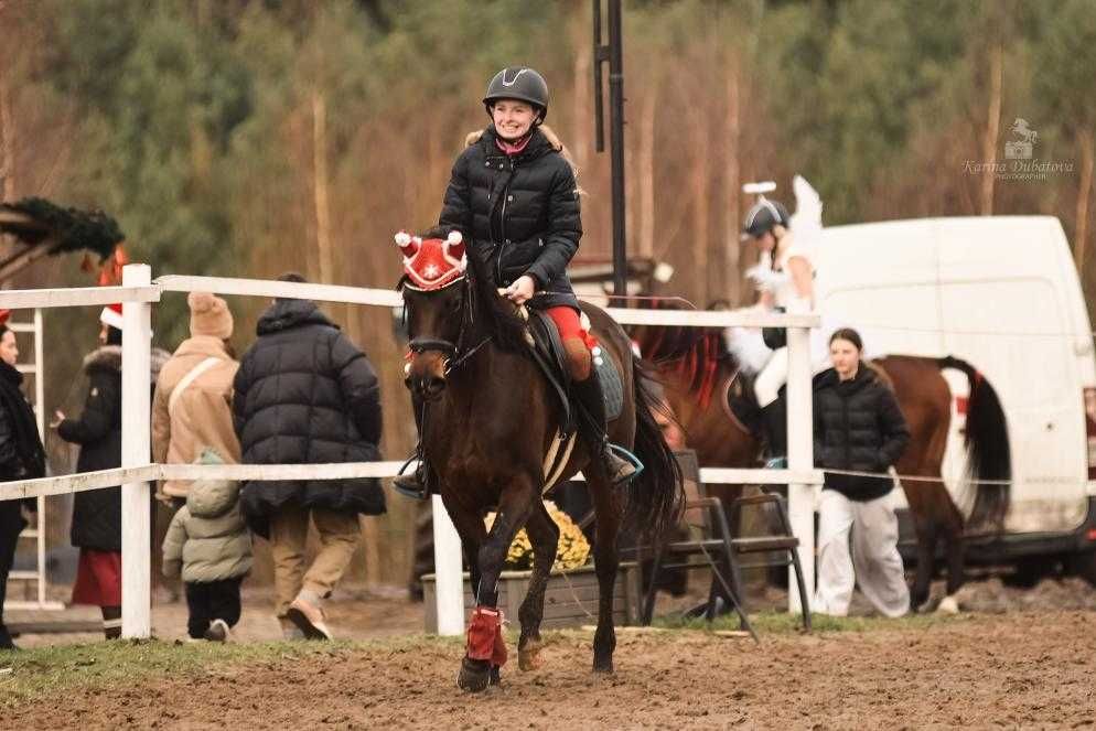 Kucyk grupy D do rekreacji lub małego sportu