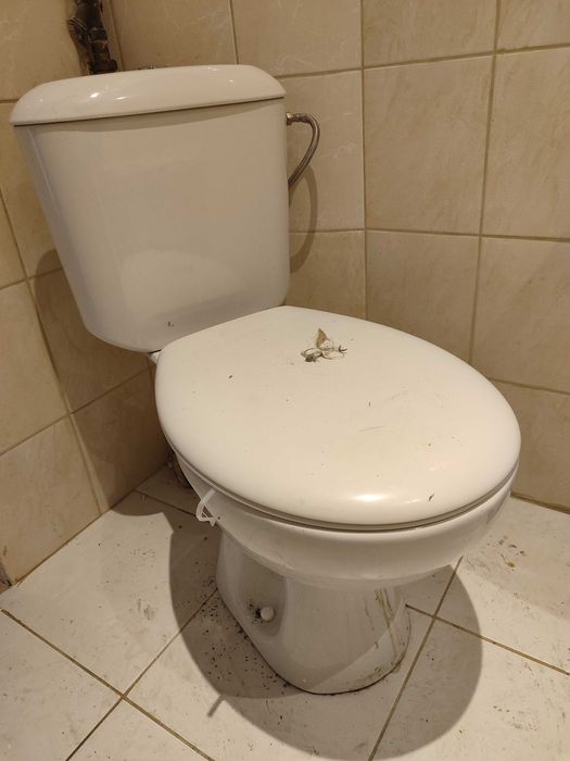 Zestaw sprzętu łazienkowego