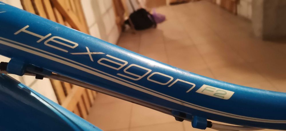 Rower Kross hexagon f2