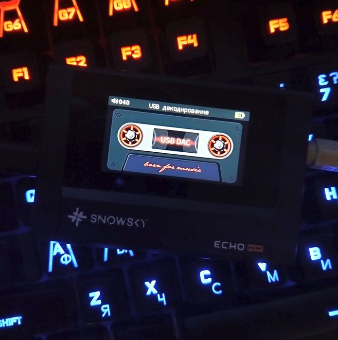 Fiio snowsky echo mini