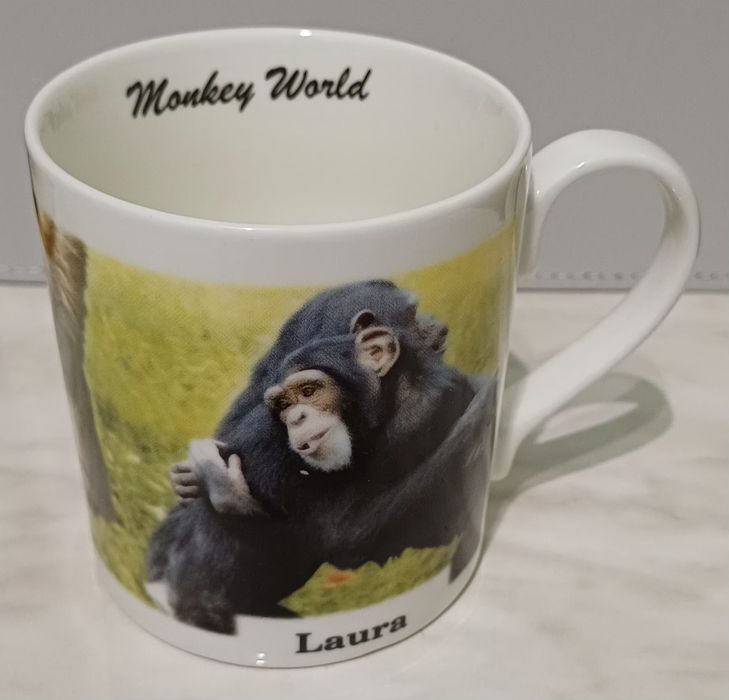 Чашка из тонкого фарфора марки G.W.P Fine China.