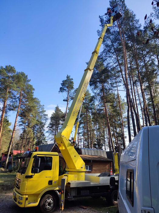 Wycinka Drzew Usługi Zwyżką Lubaczów,Obsza,Korczowa,Laszki