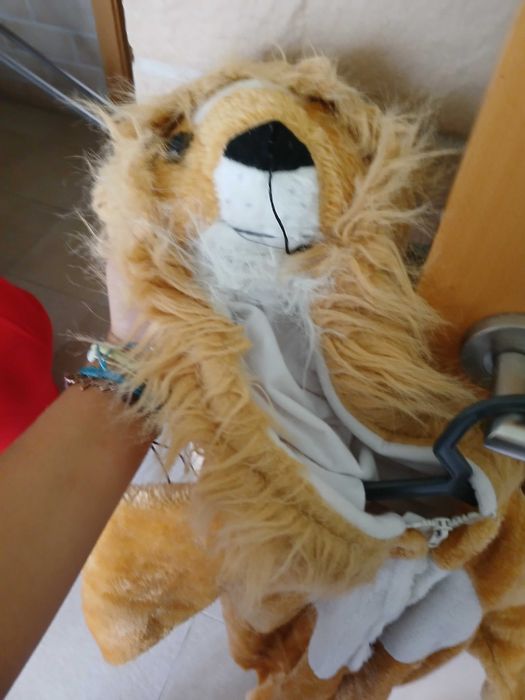 Fantasias carnaval/ halloween