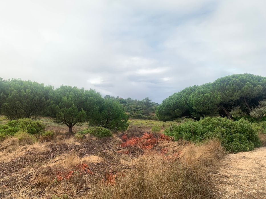 Terreno à Venda na Aldeia do Meco, Sesimbra