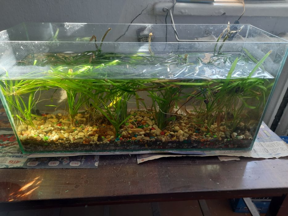 Аквариумы    для рыбок