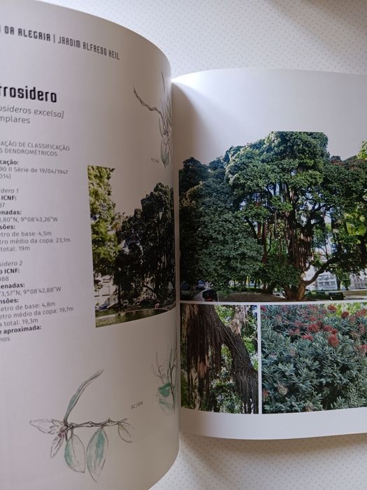 Árvores na Cidade, Graça Amaral Saraiva e Ana Ferreira de Almeida