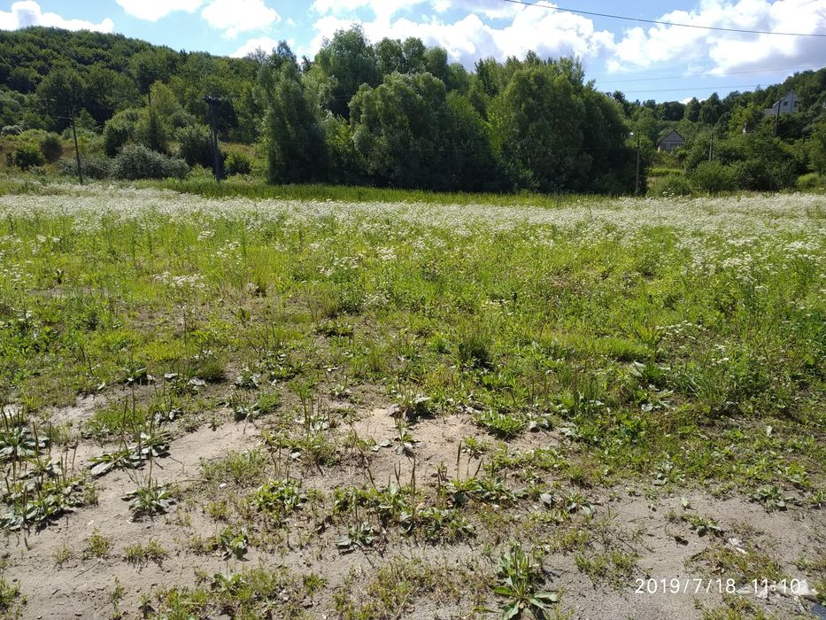 продається земельна ділянка 0.6655га