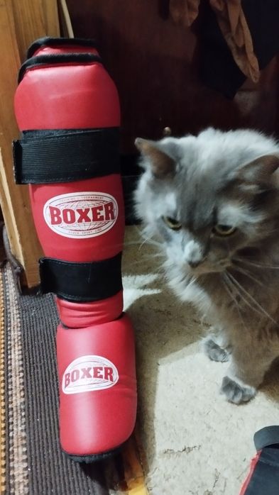 Продам Амуніція для боротьби