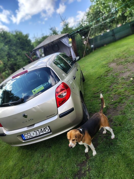 Sprzedam Renault Clio