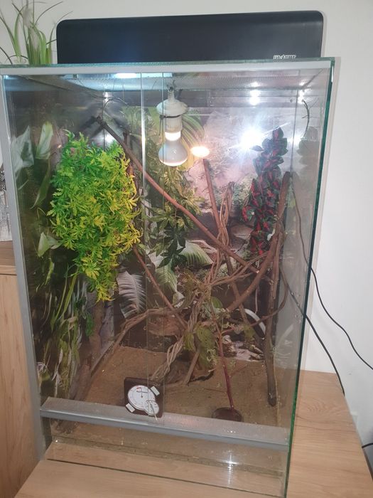 Terrarium  na kameleon, gekon, pająk, wąż