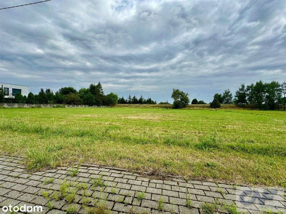 Tychy Wygorzele, Atrakcyjna Cena !!!