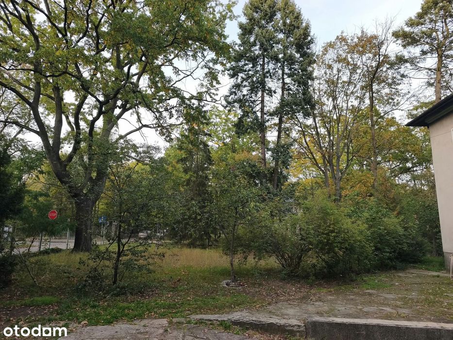 Dom – Milanówek - Widok 5