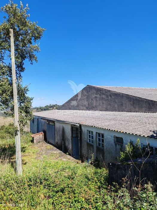 Pavilhão