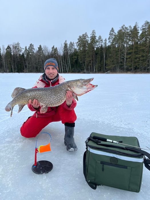 VIP-жерлиця, щуковка Рибась Edition
