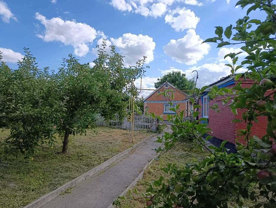 Новий будинок в Дашківцях із ще двома житловими господарчими будинками на території.